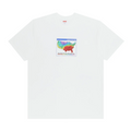 Supreme Weather T-Shirt 'White'